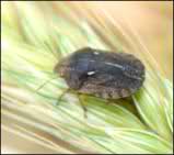 agrobio-trading-main-img