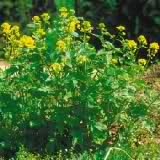 agrobio-trading-gallery-img