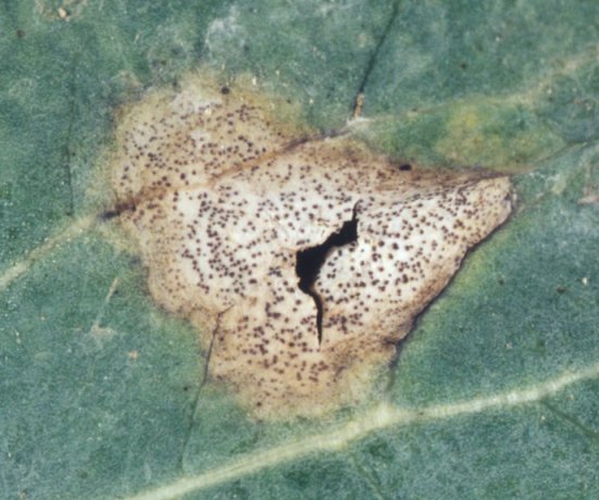 agrobio-trading-main-img