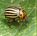 agrobio-trading-gallery-img