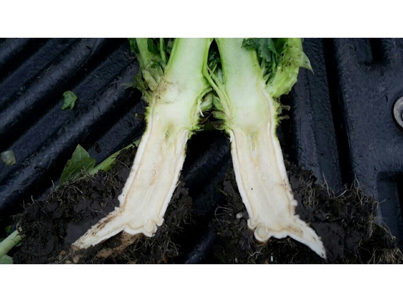 agrobio-trading-gallery-img