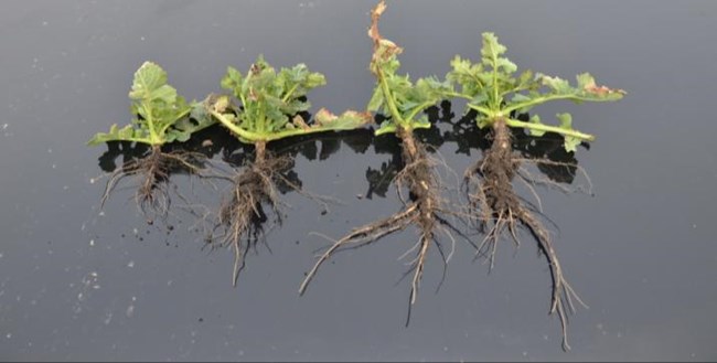 agrobio-trading-gallery-img