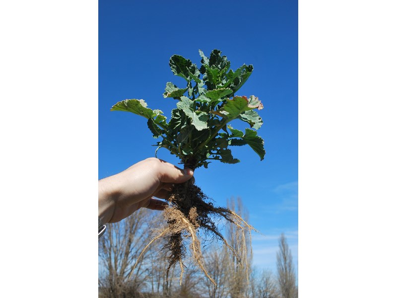 agrobio-trading-gallery-img