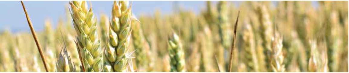 agrobio-trading-main-img