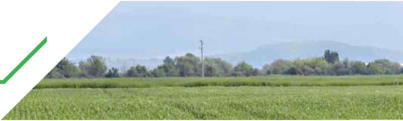 agrobio-trading-main-img