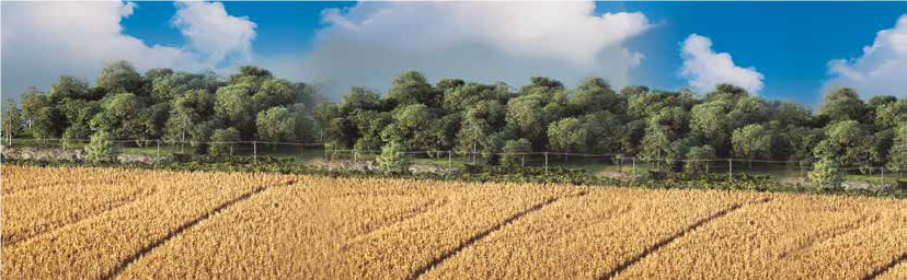 agrobio-trading-main-img